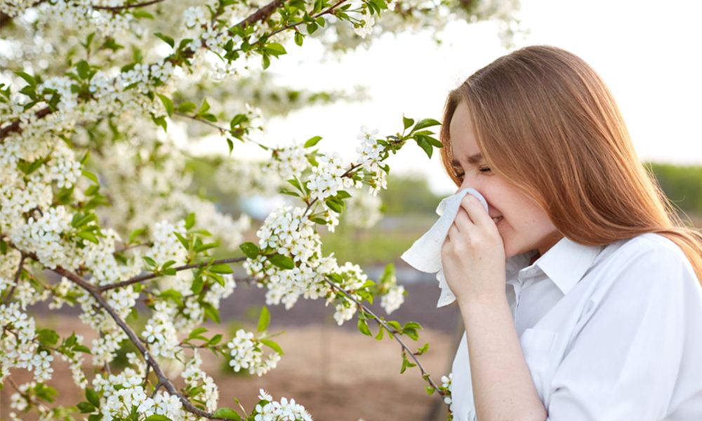 Người bệnh viêm mũi dị ứng cần tránh tiếp xúc với các tác nhân gây bệnh